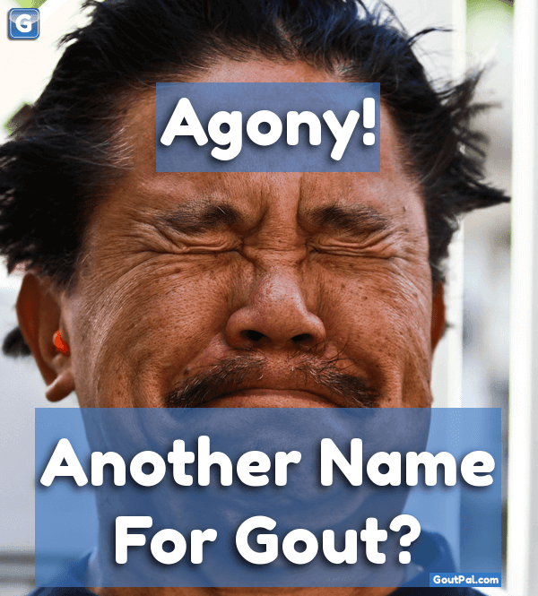 Agony! Another Name For Gout? photo