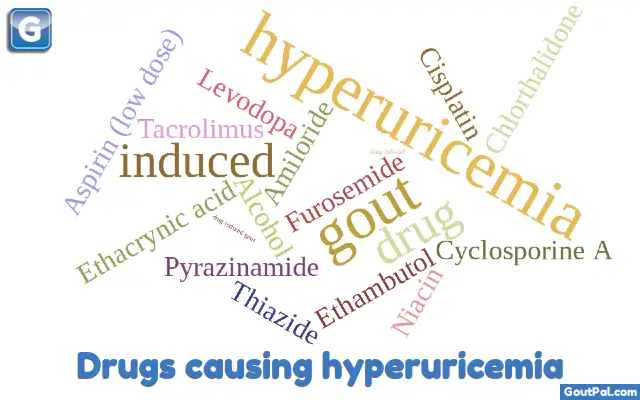 Drugs Causing Hyperuricemia