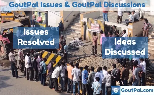 GoutPal Issues and GoutPal Discussions